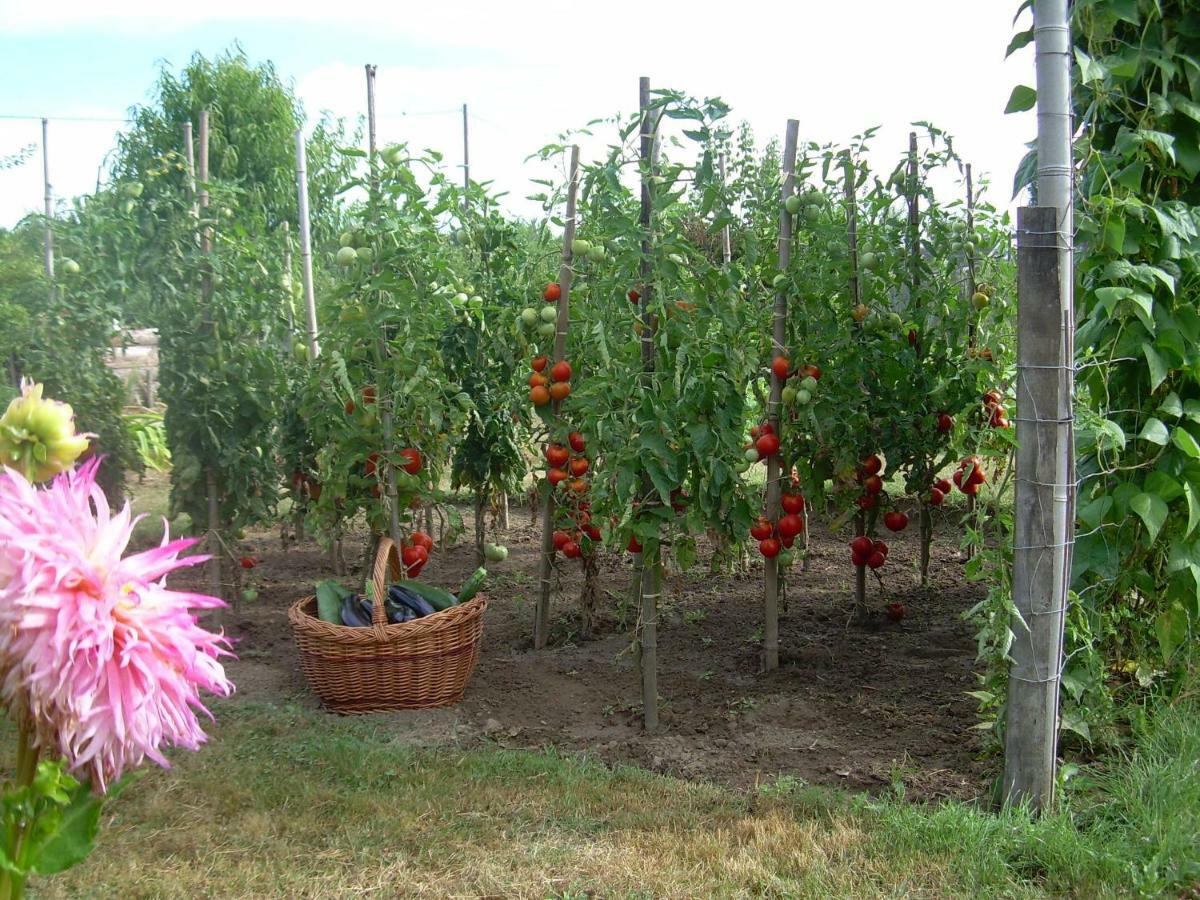 La Ferme Aux Fleurs Frühstückspension *